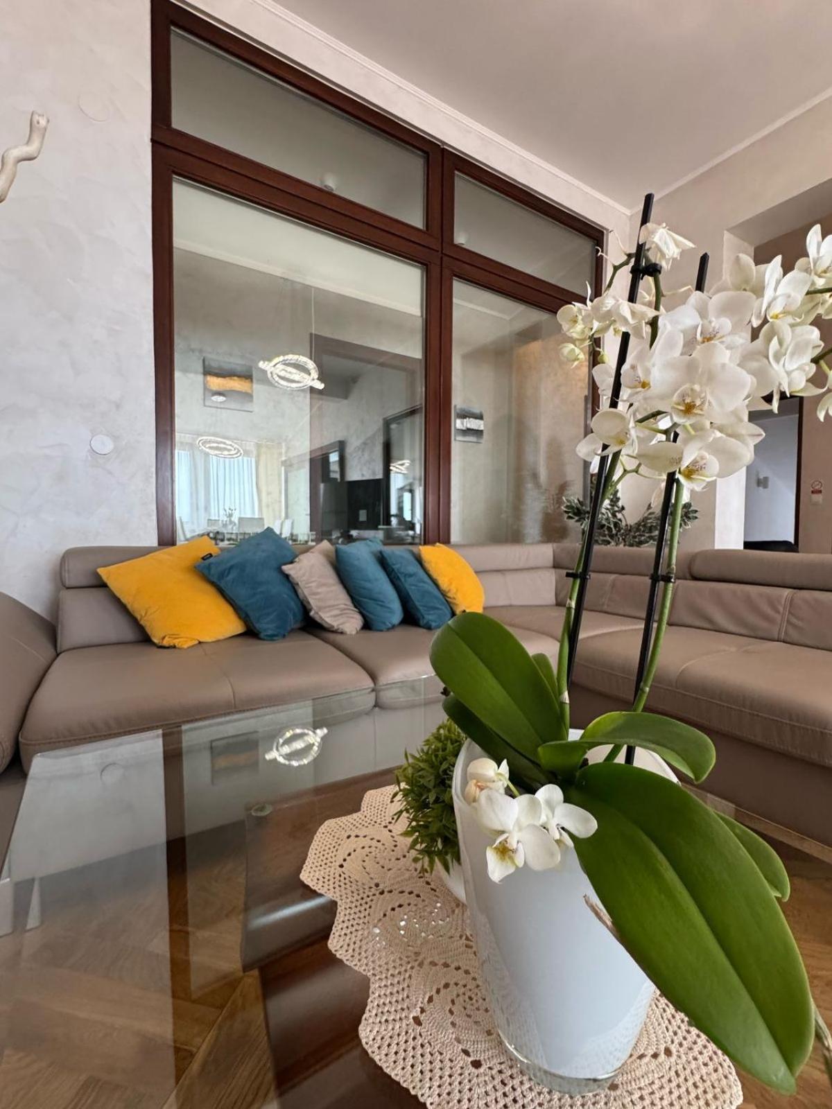 Villa Adriatic, Apartment Enio With Swimming Pool, Panoramic Sew View, Free Parking Ičići Dış mekan fotoğraf